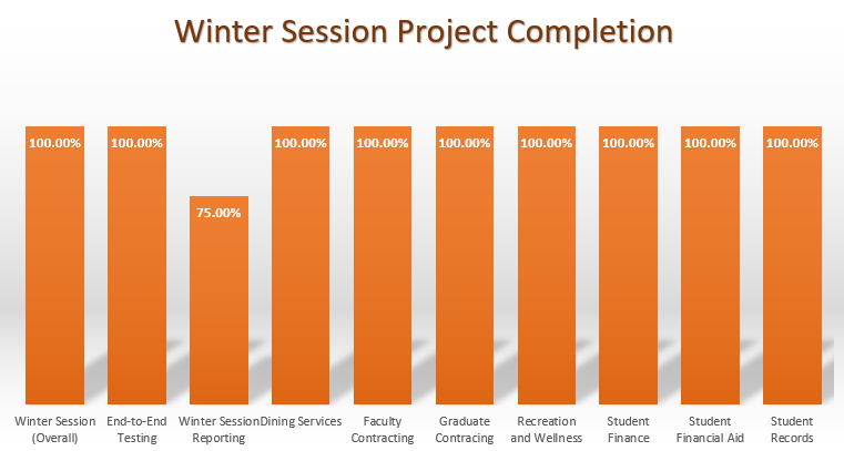 Winter Session Project Completion graph