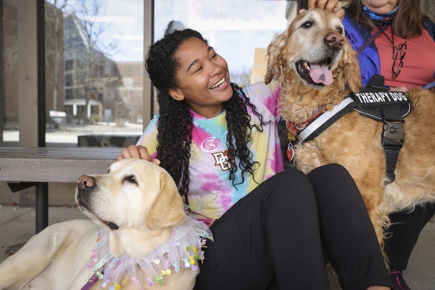 Student petting two therapy dogs