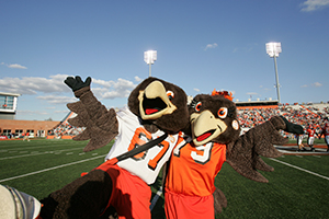 mascots