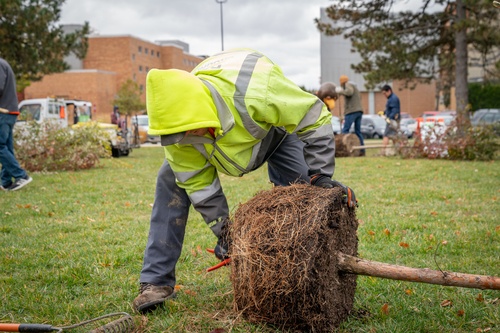 Tree Planting Service Project