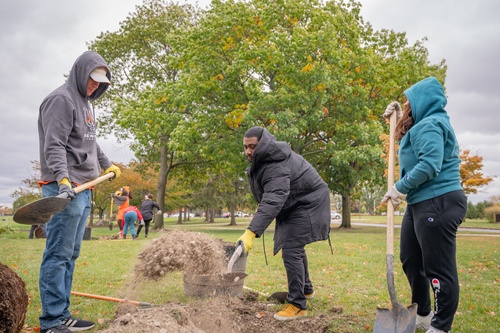 Tree Planting Service Project