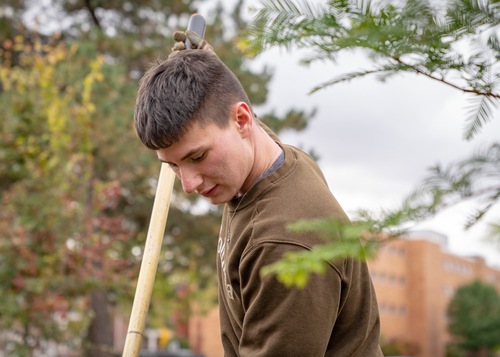 Tree Planting Service Project