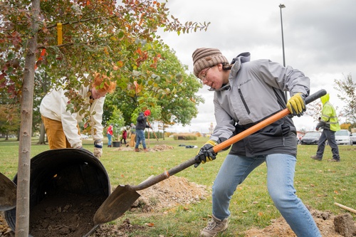 Tree Planting Service Project