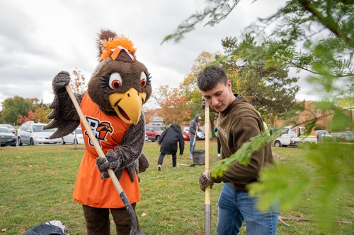 Tree Planting Service Project