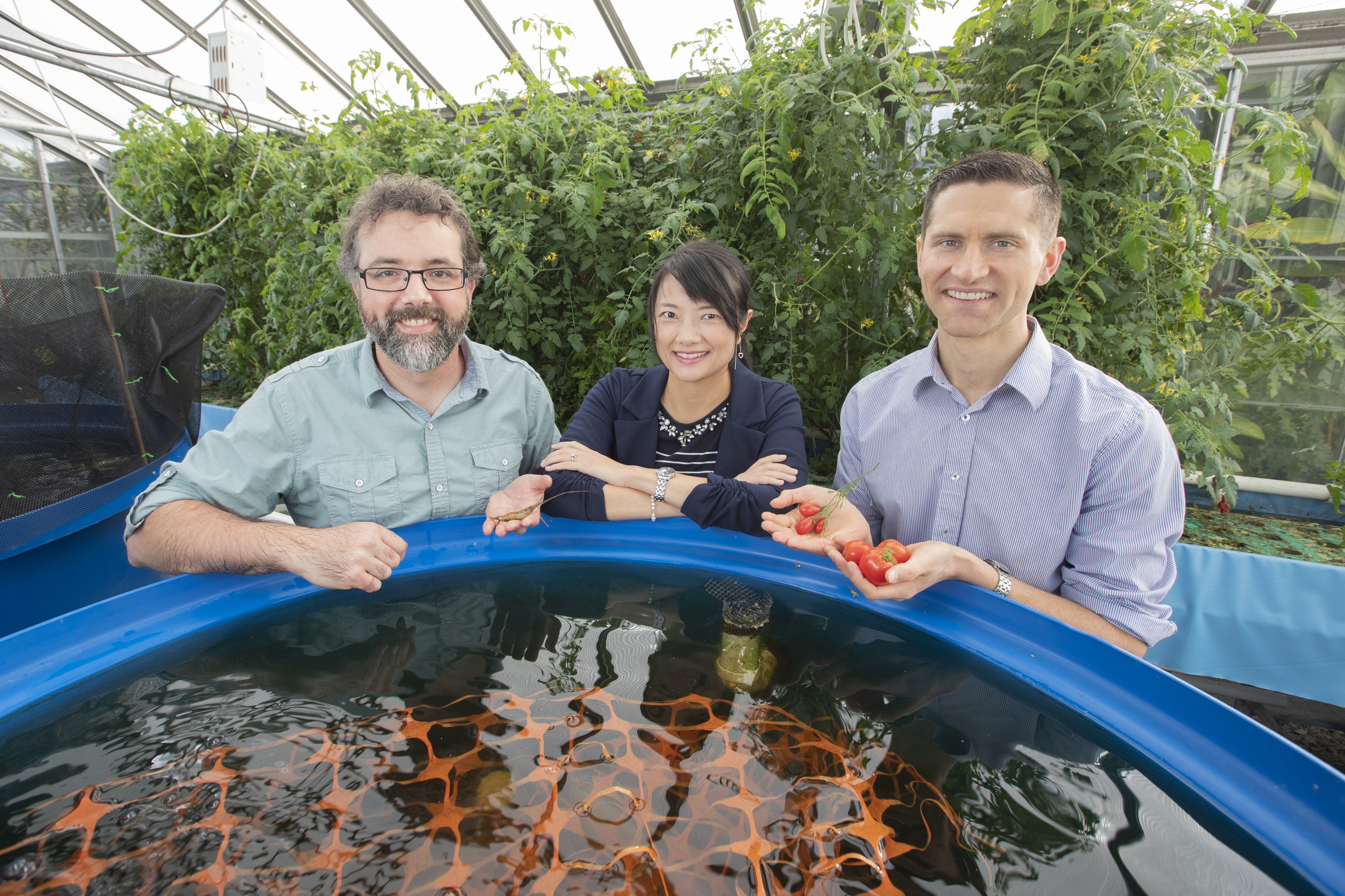 People standing over fish pool