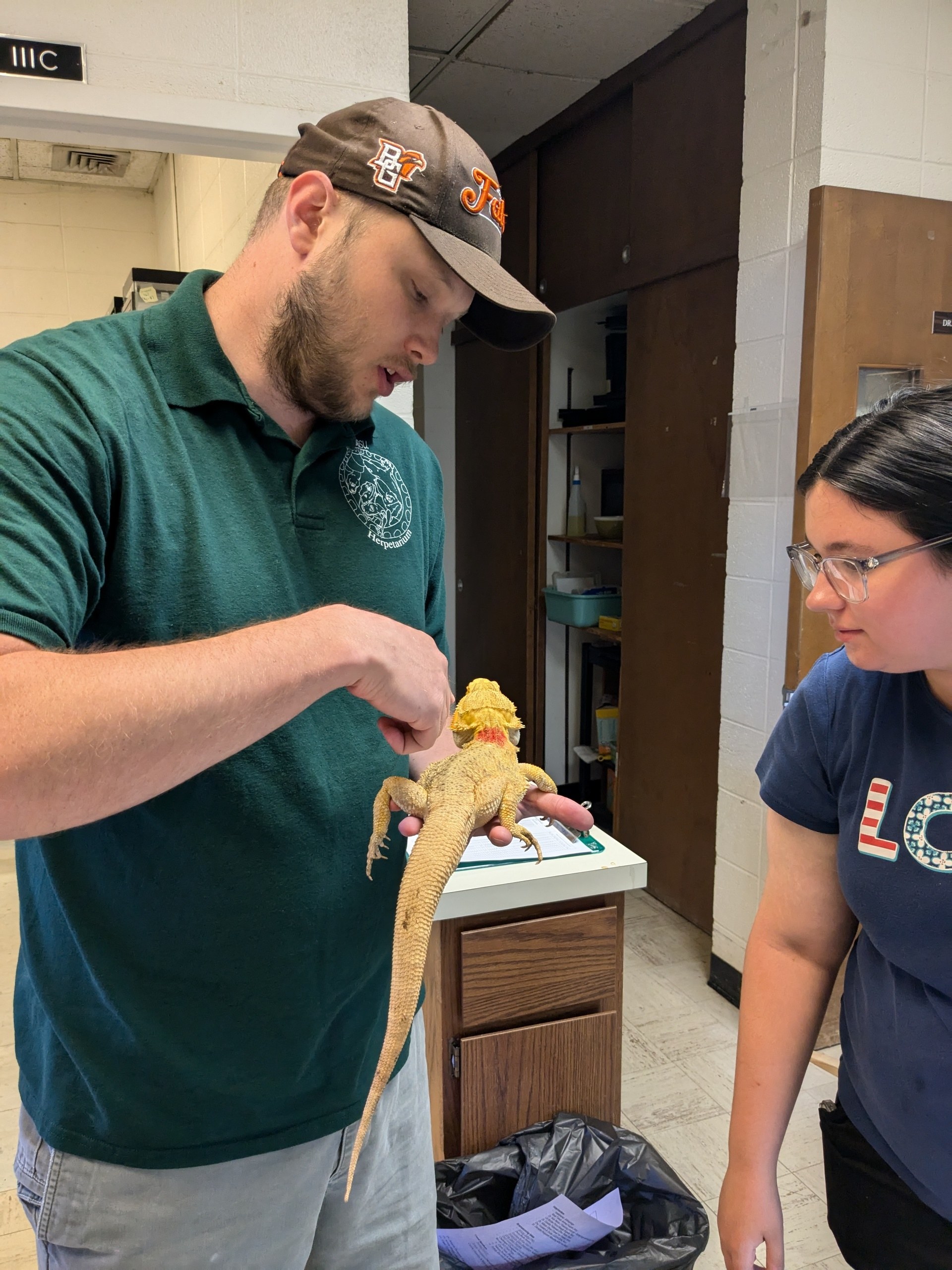 Person holds reptile