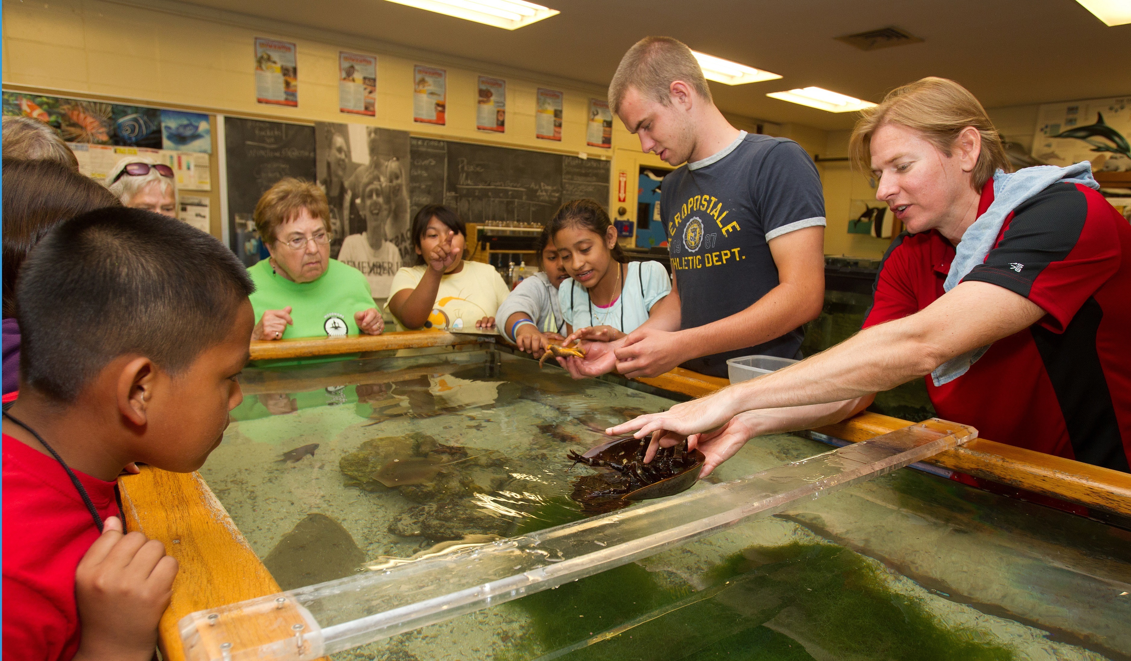 Children looking at aquarium