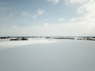 Snowy Field