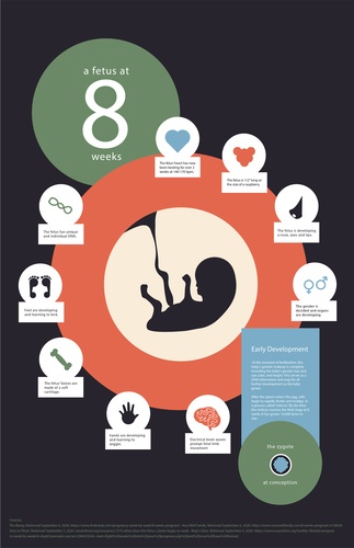 Debates of Life 3