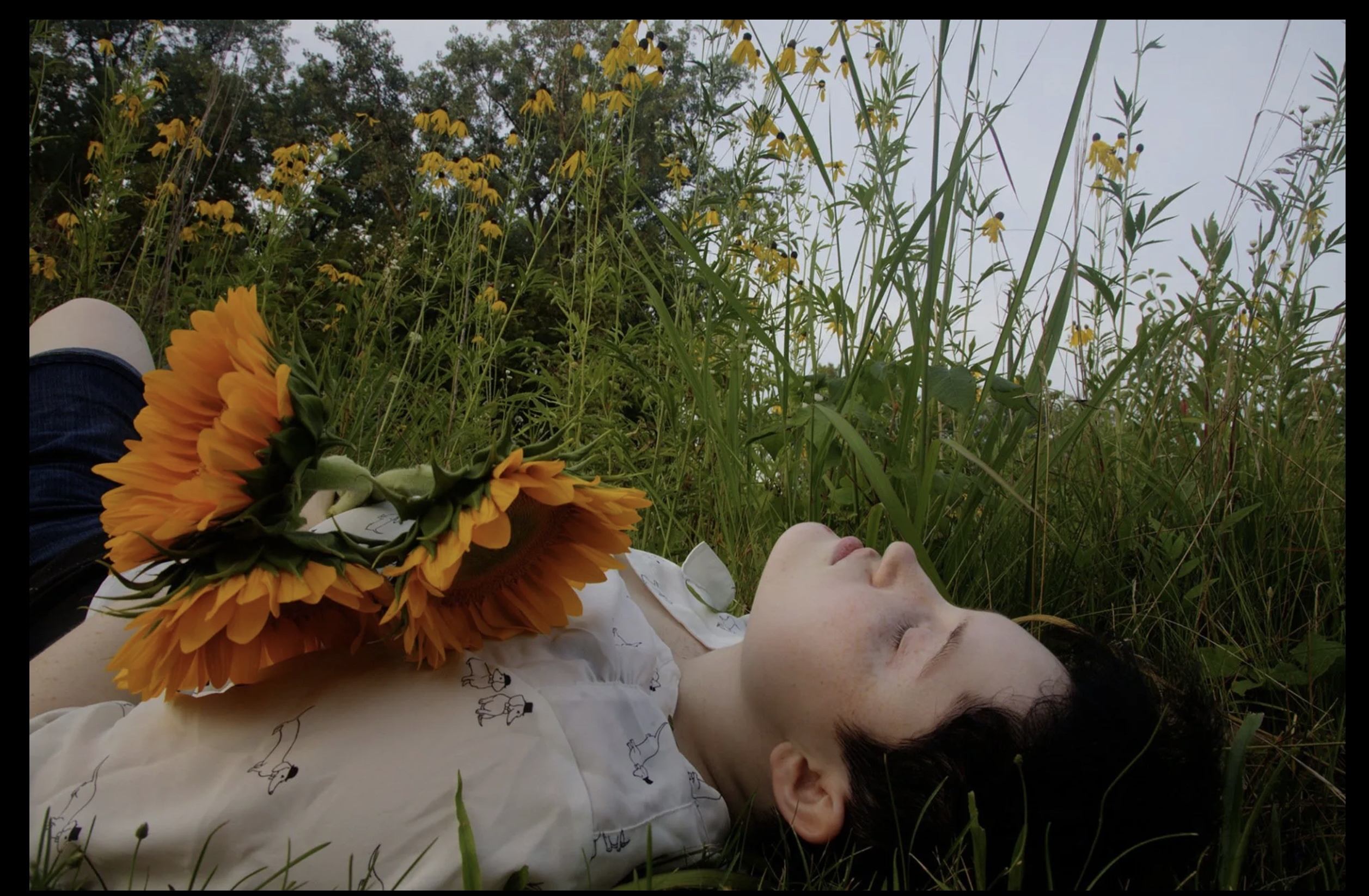 A young man is lying in tall grass holding a bouquet of sunflowers