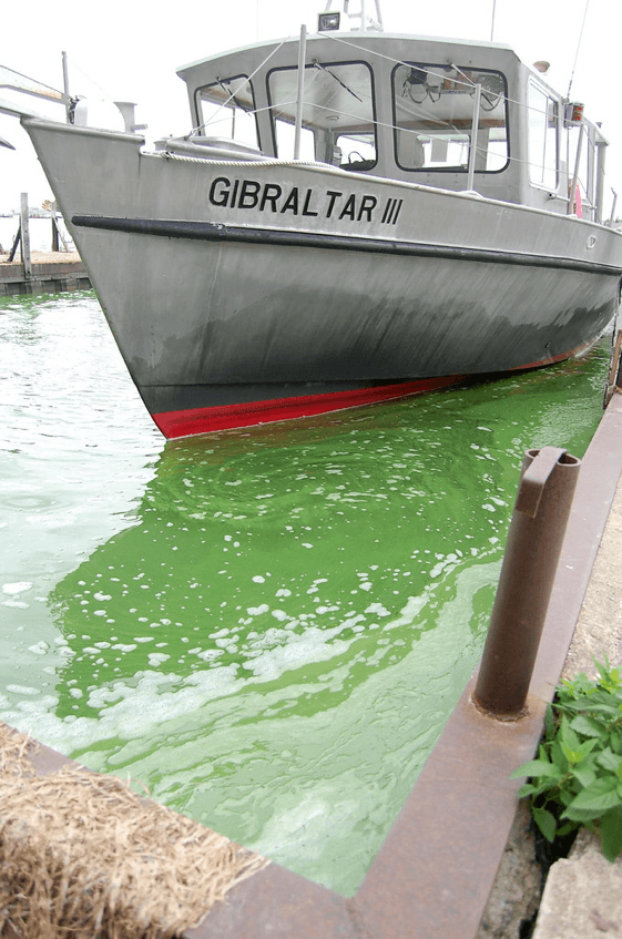 Gibraltar III research vessel