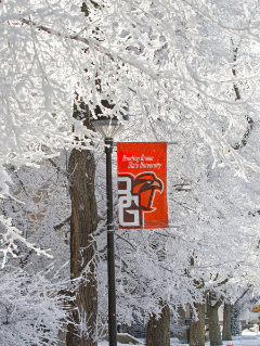 A snowy, but beautiful, Bowling Green winter.