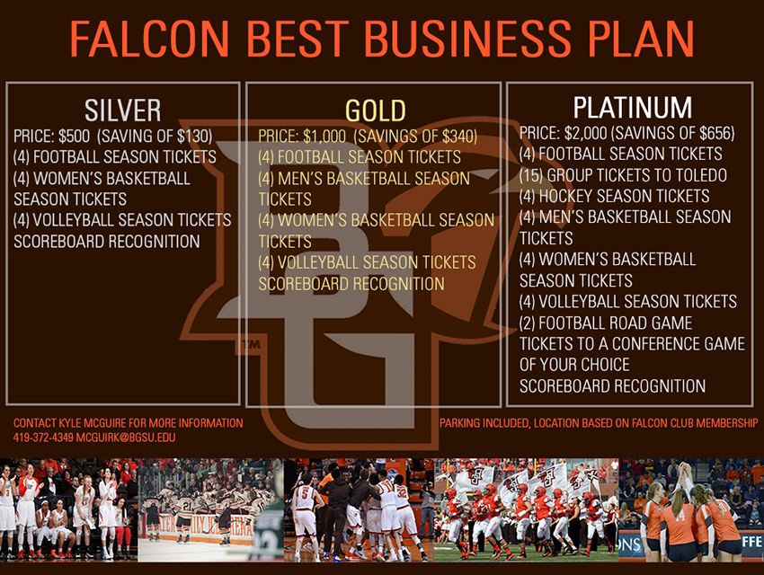 Falcon-BEST-Business-Plan-2