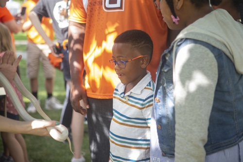 A boy looks at a snake