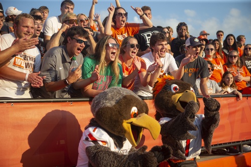 People cheer in the stands
 