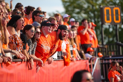 People cheer in the stands
 