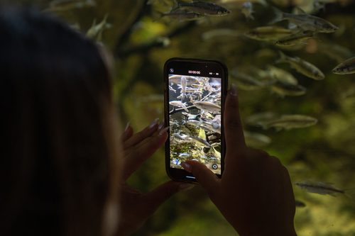 Libby Bumb uses knowledge from her marketing courses at BGSU to aid in her work at the zoo. (BGSU photo/Haven Conn '22)