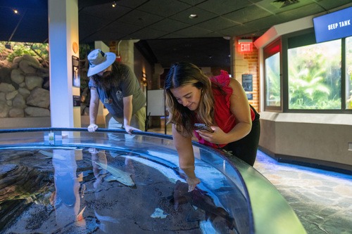 BGSU junior Libby Bumb values her autonomy to be creative and present out-of-the-box ideas, a concept she recalled from an introductory marketing class at BGSU. (BGSU photo/Haven Conn '22)