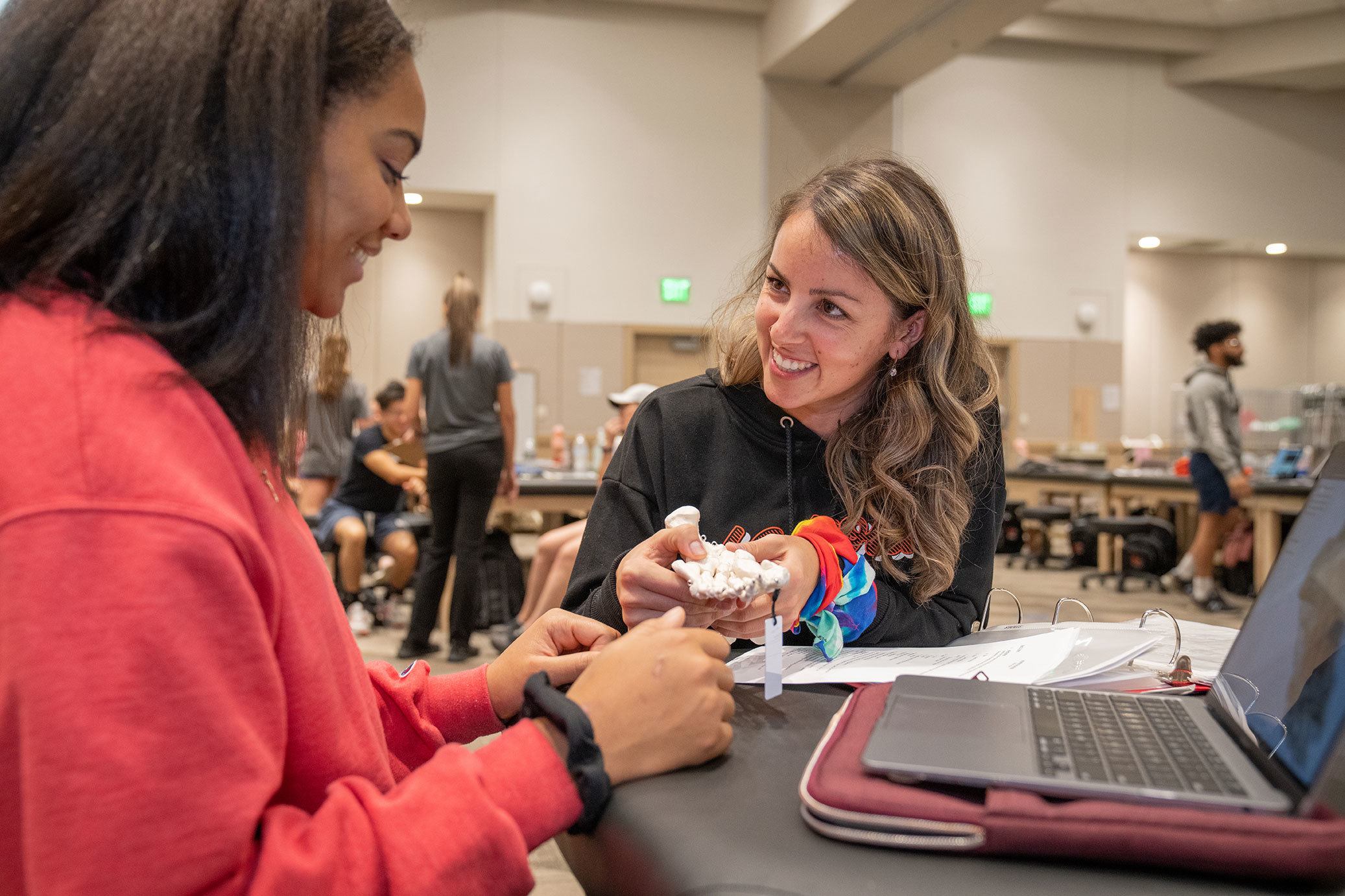 Two people talk to each other in a clinical education setting.