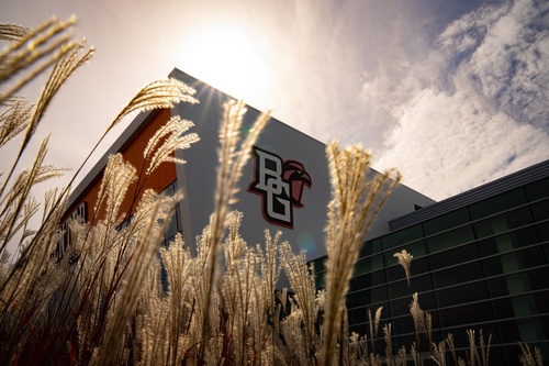 Grass in front of building