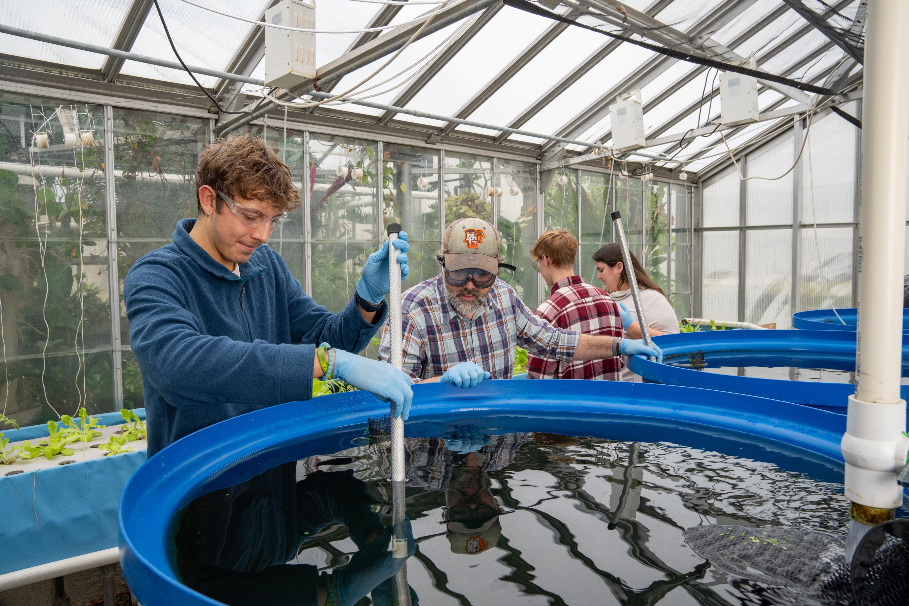 Students and faculty conduct aquaponics research in the BGSU greenhouse