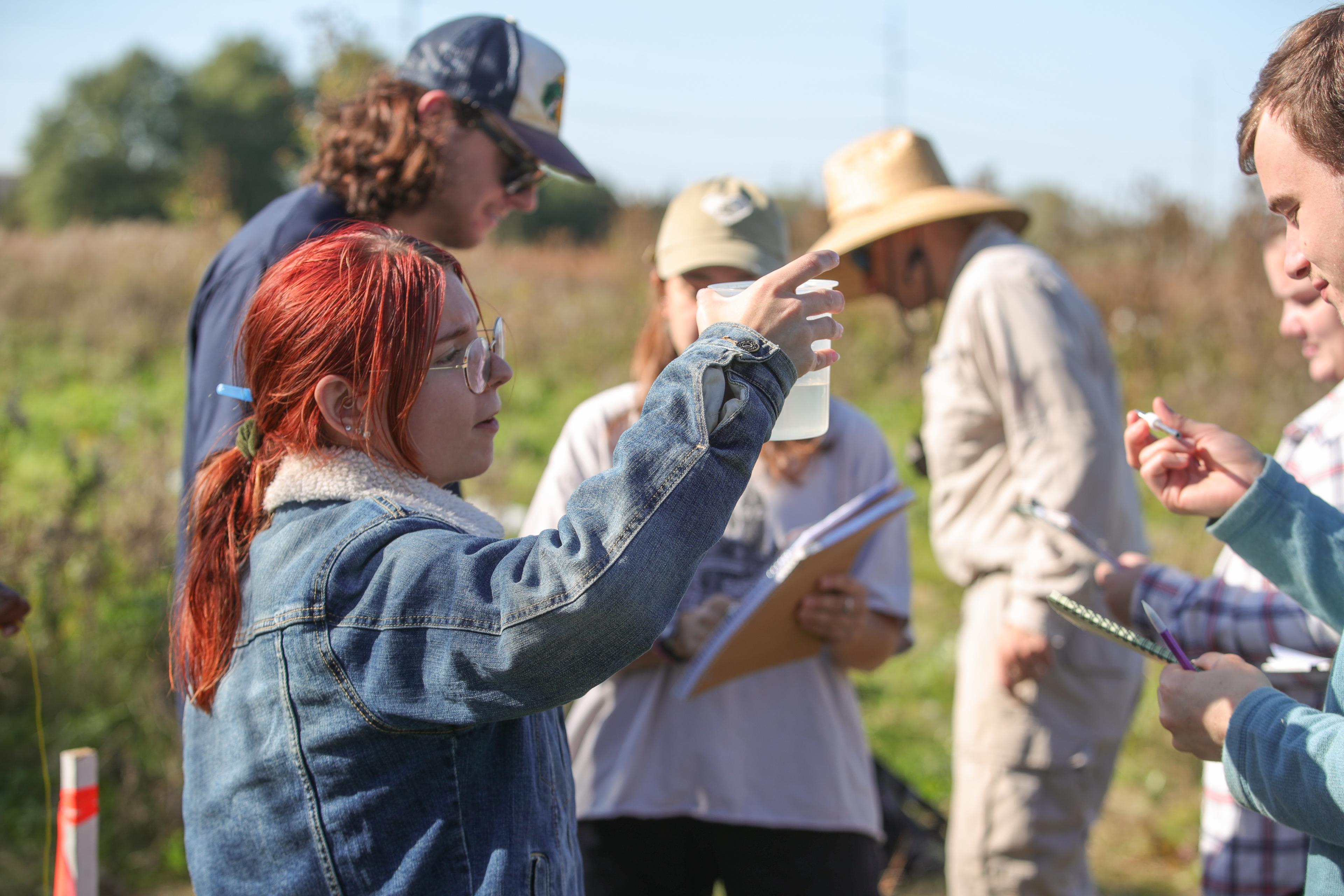Students examine water samples out in the field 